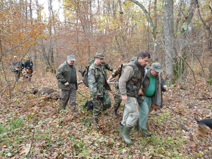 P1210713 - 2009-2010 Stolna Cluj
