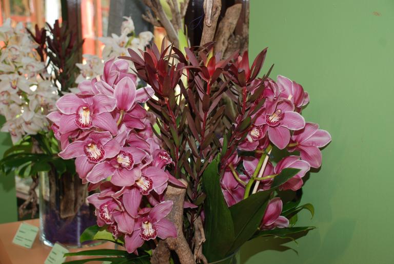 Afbeelding 639 - Keukenhof 2008