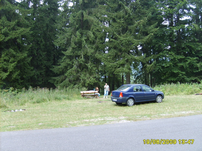 S5002613