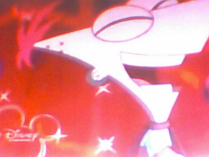 snapshot-131 - Pineas si Ferb