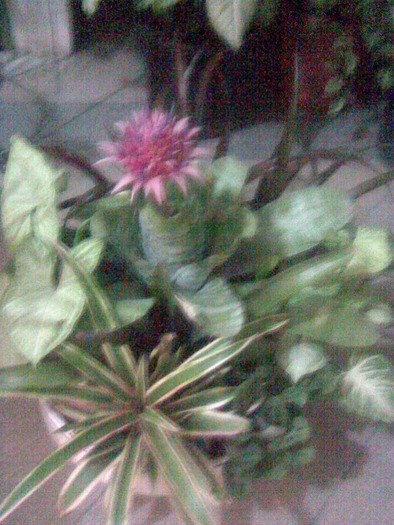 Imag029