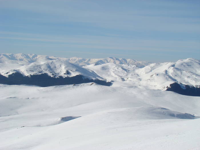 DSC01145 - Bucegi - Valea Izvorul Dorului-Padina