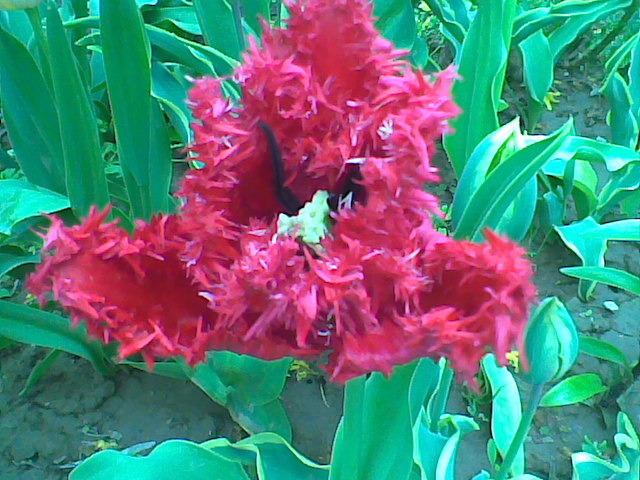 Imag069
