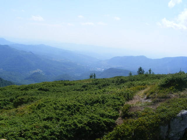 DSCF4301 - 2 august 2009 Traseu Suior Secatura Creasta Cocosului Gutaiul Doamnei  Vf Gutai