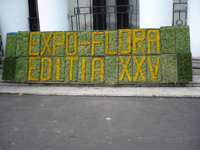  - Expo-Flora 2008 Baia Mare