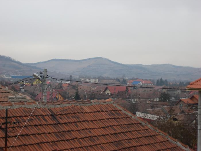 Medias-Cartier Automecanica