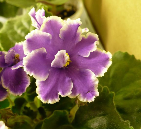 19 dec - Midnight Cloud