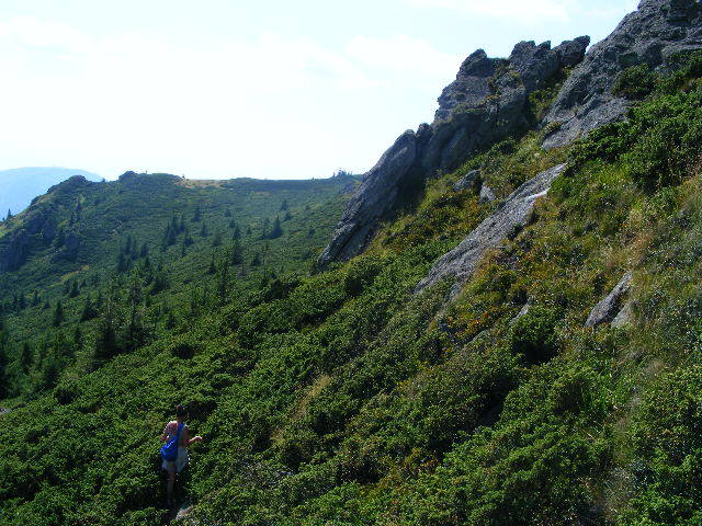 DSCF4400 - 2 august 2009 Traseu Suior Secatura Creasta Cocosului Gutaiul Doamnei  Vf Gutai