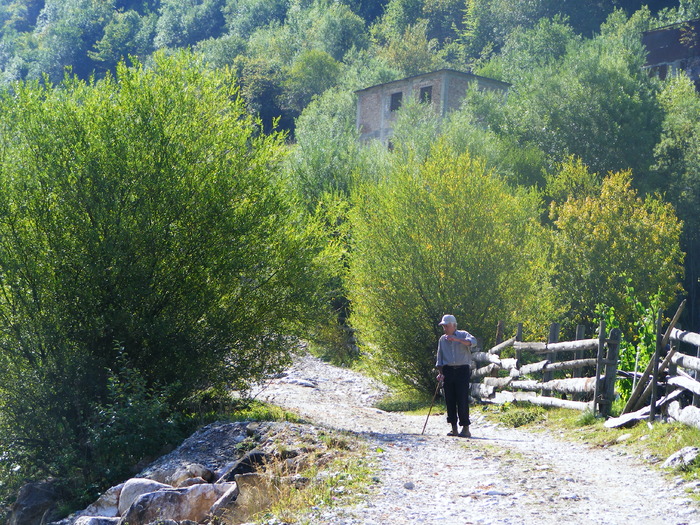 DSCF6286 - muntii Rodnei