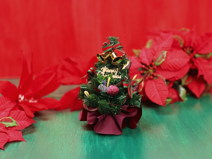 Christmas (95)
