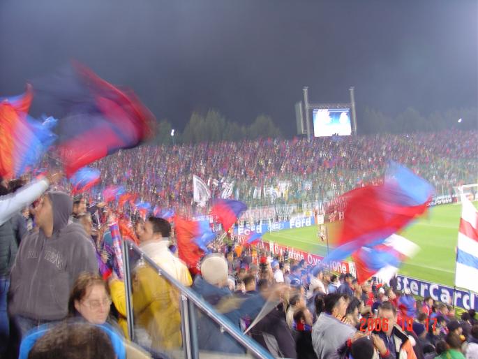 DSC05800 - Steaua