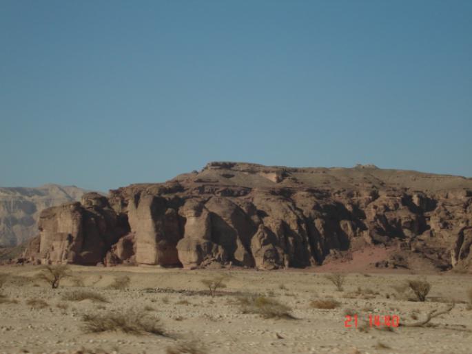 303 Israel - Timna Park - 2008 ISRAEL NOIEMBRIE