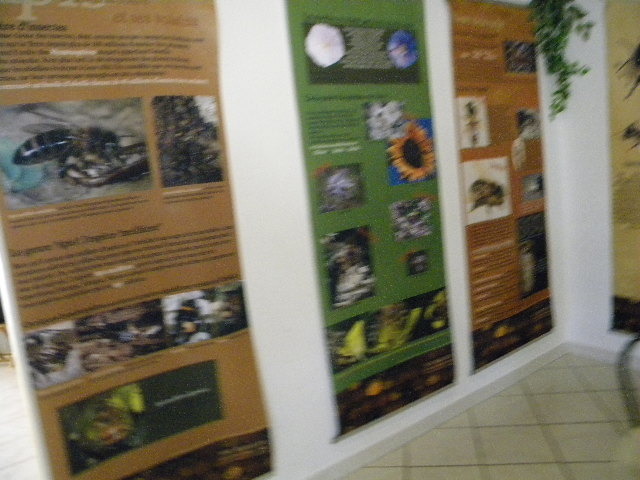 DSCN1948