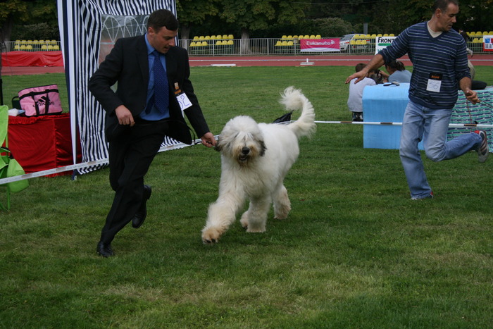 expo bucuresti 2008 049 - RoJCh EuJCh BALAN D MURESAN