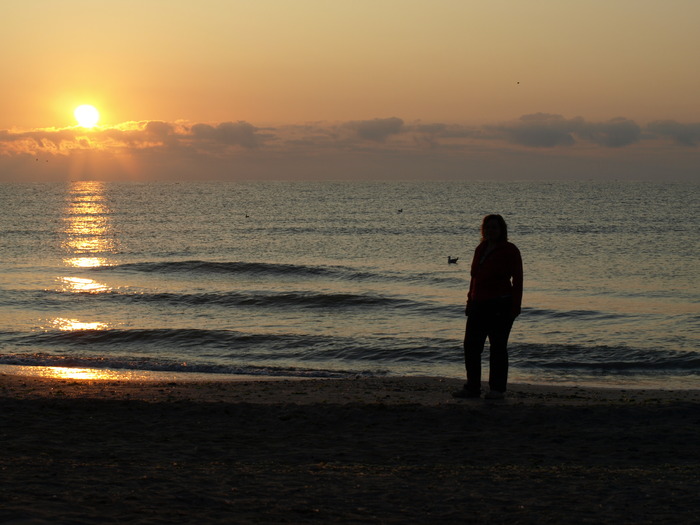 P8306656 - la mare 2009