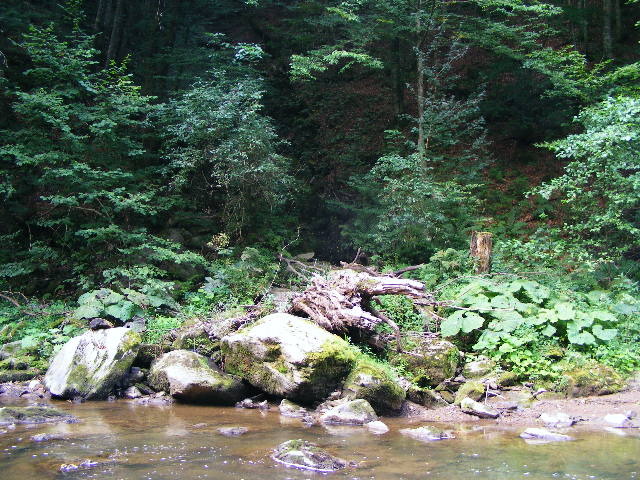 DSCF5059