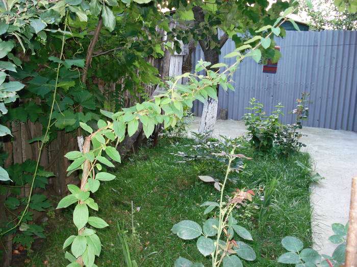 DSC09488