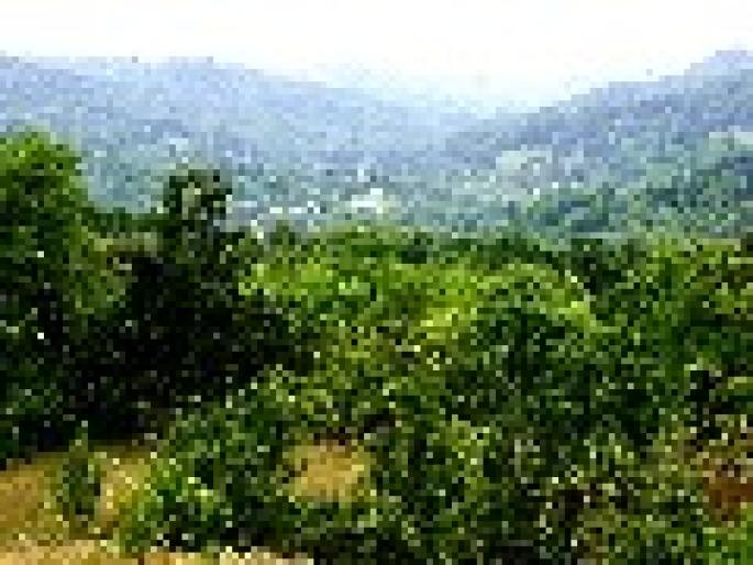 small_4529f6ee82057Peisaj 4 1600