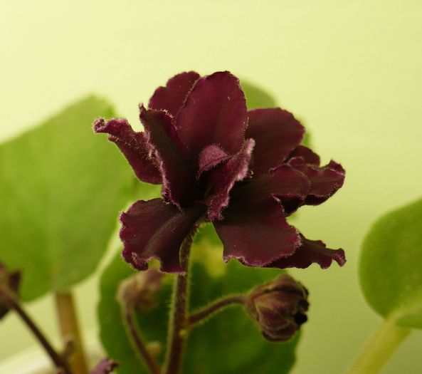 P1170276