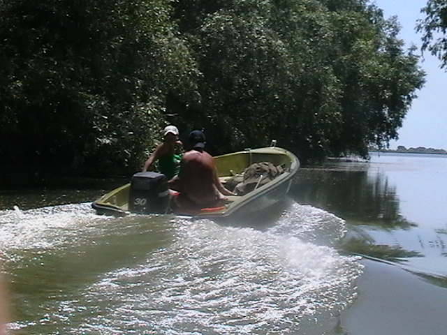 IMGA0947 - In Delta Dunarii- Mila 23-iunie 2009