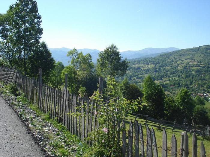 Valea Doftanei - Secaria (83)