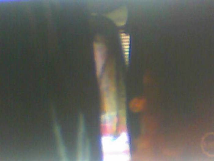 snapshot-395 - Sora lui Cleo Kim