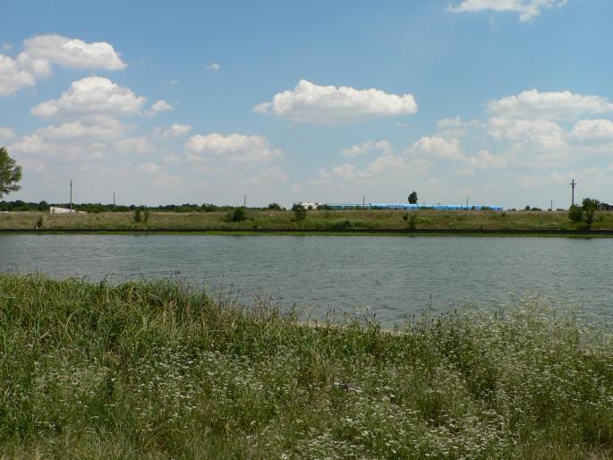 P1000230 - 2007 in plimbare prin herastrau