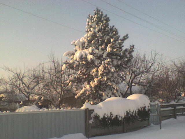 DSC01261 - iarna in sat