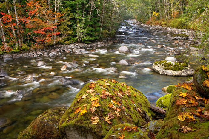 Beckler River, Cascade Mountains, Washington