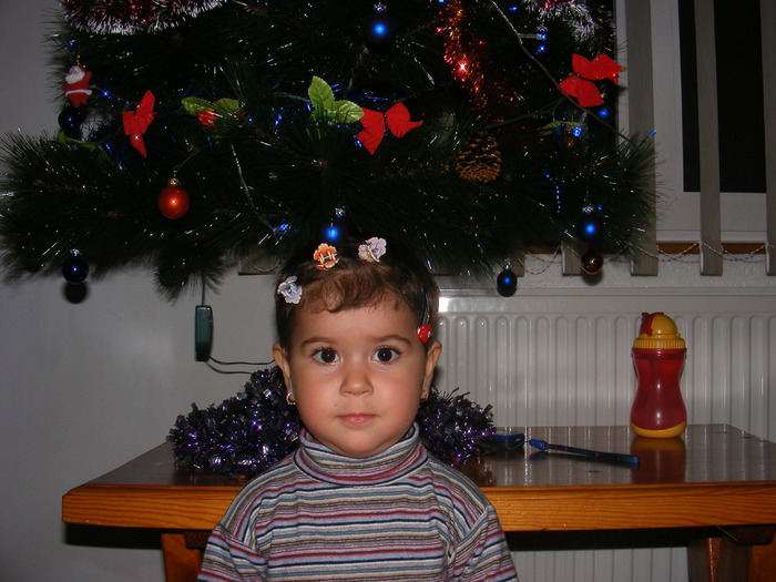 decembrie 2009 - Ecaterina-Nicoleta