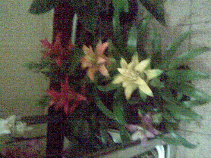 Imag020