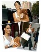 rihanna and the dog; tare
