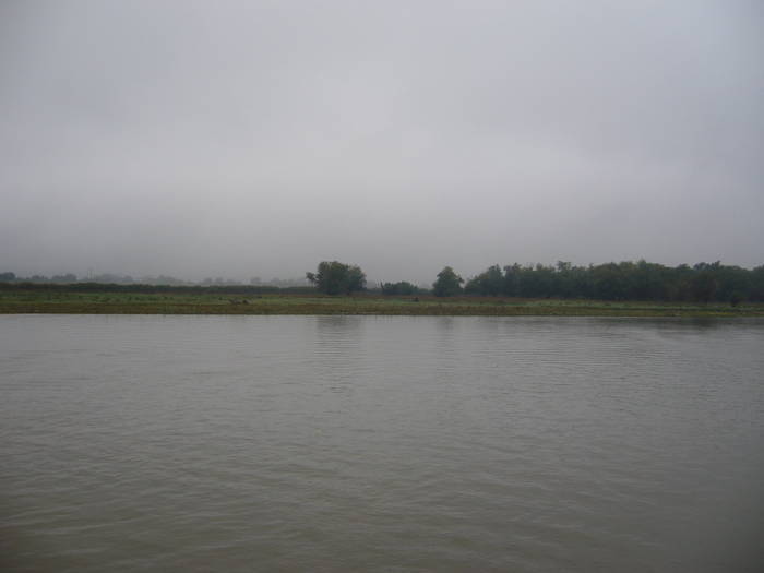 JEYCYEQDZQTENEZWDHB - Delta Dunarii