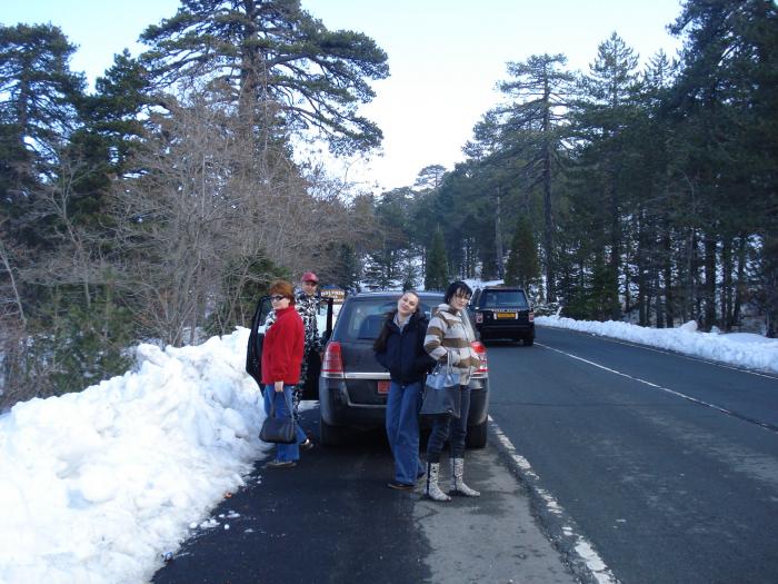 Picture 707; Muntii Troodos
