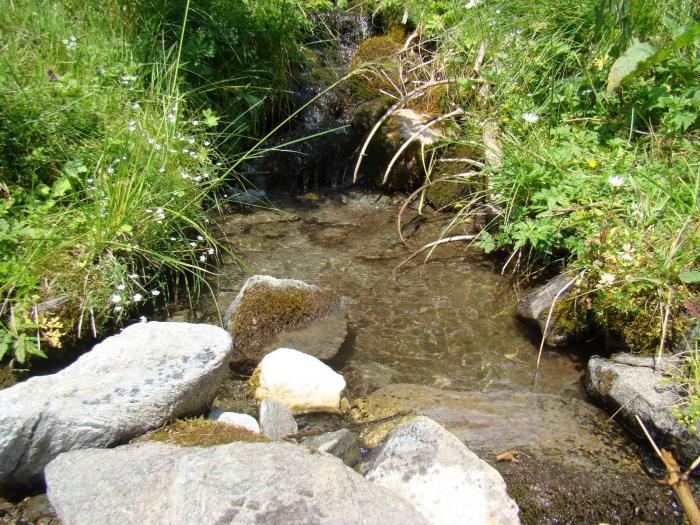 DSC01971 - Concediu 2008