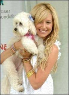 121 - poze ashley tisdale