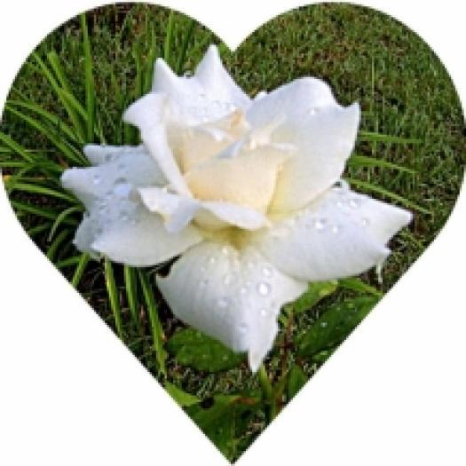 HCNRNUOWFEUMWCEREKV[2]