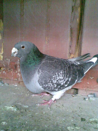 Imag098; M 2002
