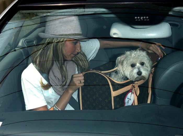 el231jvj9qimage0004ah0