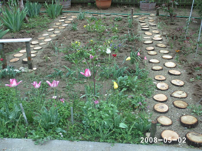 Gradina de flori de la poarta - Flori de gradina 2009