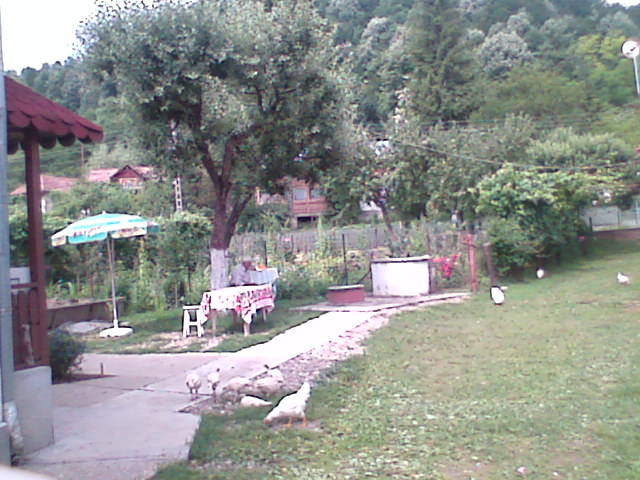 draganeasa09 058 - vacanta draganeasa 2009