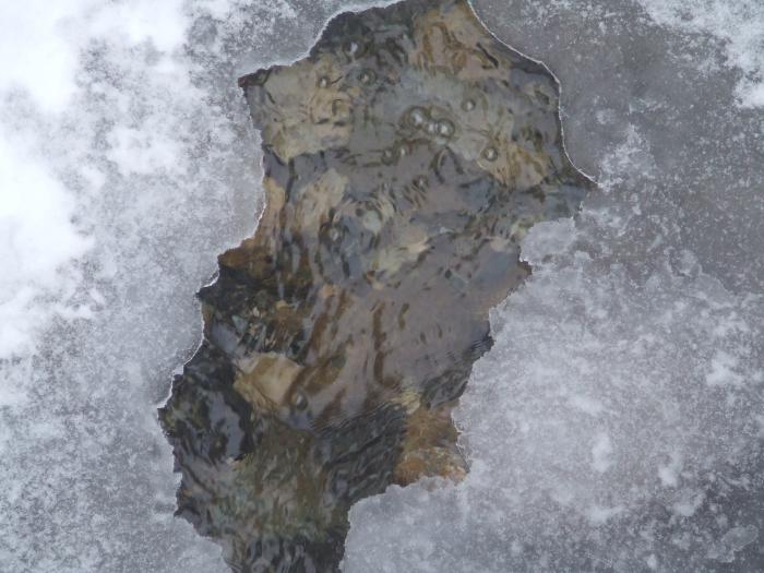 DSCF4630 - poiana zinelor