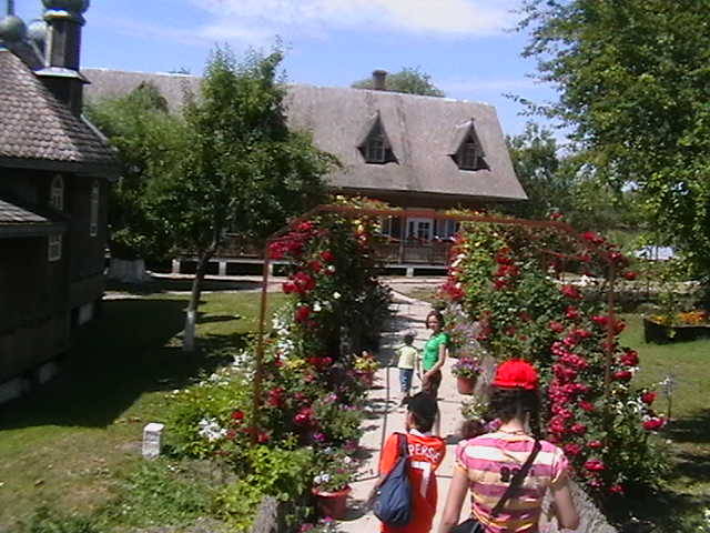 IMGA0879 - In Delta Dunarii- Mila 23-iunie 2009