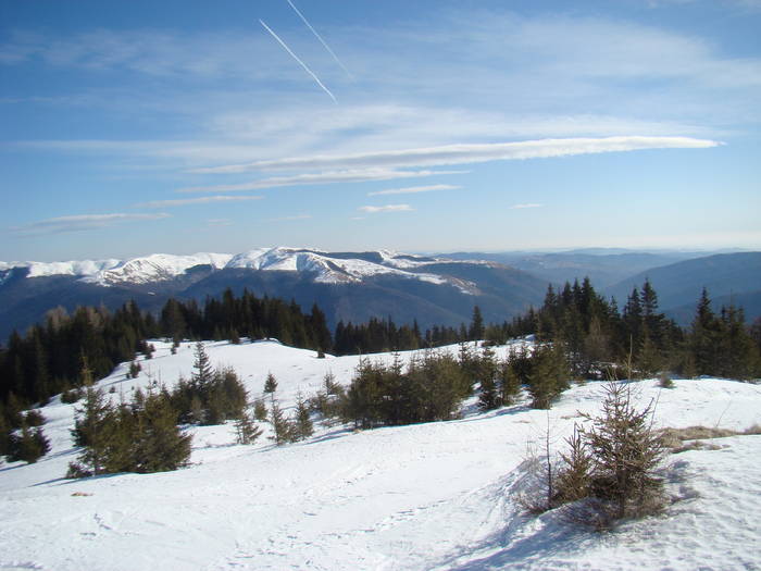 DSC01118 - Bucegi - Valea Izvorul Dorului-Padina