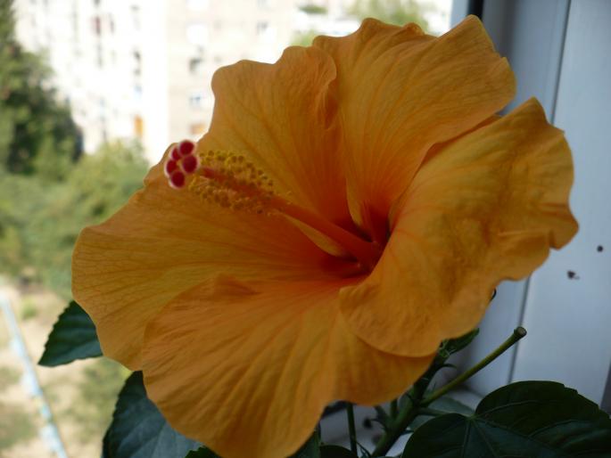 P1040109