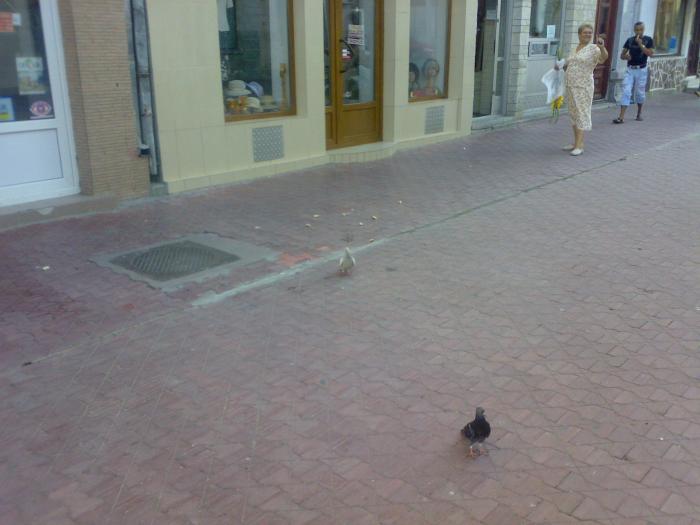 15082008866 - 18a Constanta 1