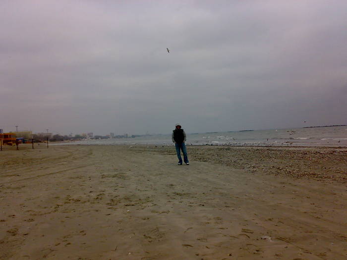 01022009138 - Mamaia iarna