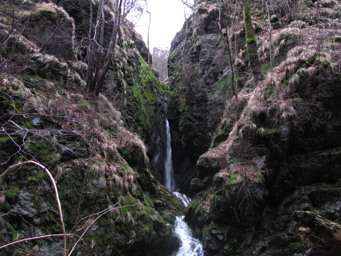 IMG_1125 - CASCADA LOTRISORULUI  02-01-2010