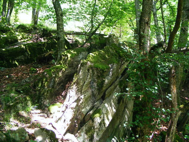 DSCF2594
