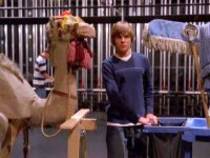 006HSM_Zac_Efron_026